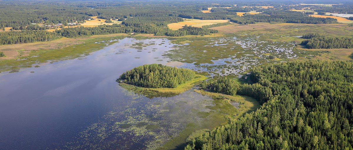 Otajärvi.